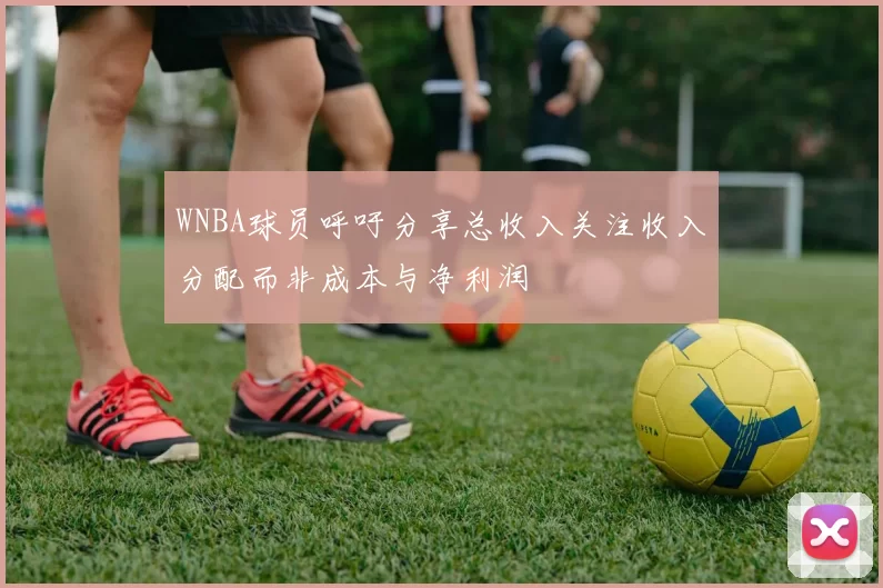 WNBA球员呼吁分享总收入关注收入分配而非成本与净利润