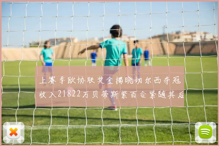 上赛季欧协联奖金揭晓切尔西夺冠收入21822万贝蒂斯紫百合紧随其后